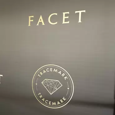 Jornada de FACET